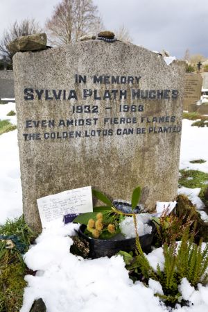 sylvia plath jan 2013 3 sm.jpg